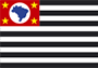 Bandeira Estado